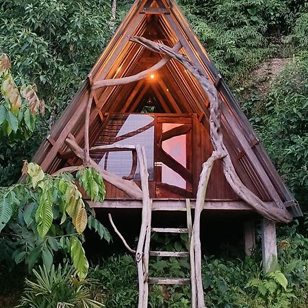 Jungle Roots Hotel Tena Exterior photo