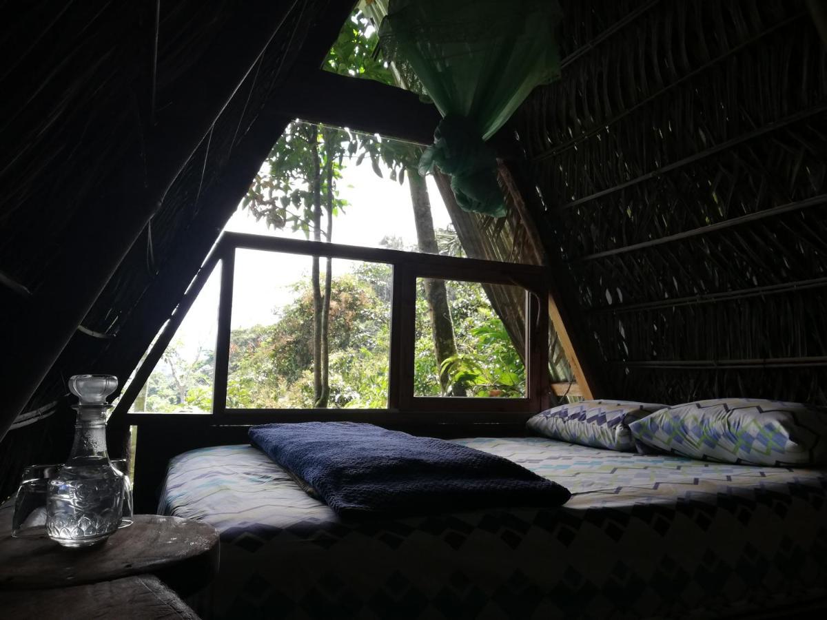 Jungle Roots Hotel Tena Exterior photo