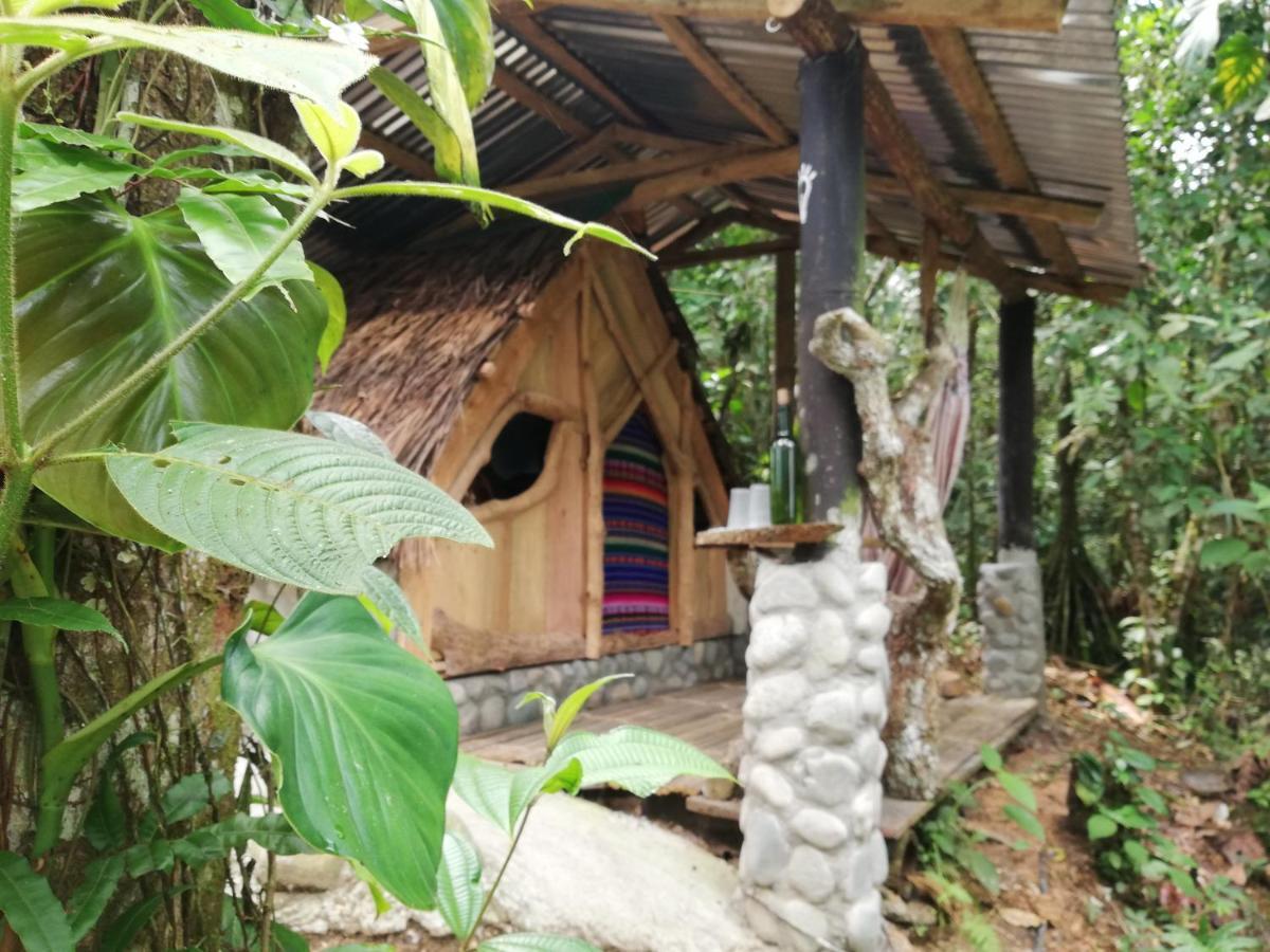 Jungle Roots Hotel Tena Exterior photo